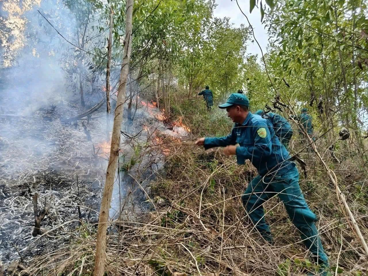 TOÀN THỂ NHÂN DÂN TĂNG CƯỜNG CHỦ ĐỘNG PHÒNG CHÁY, CHỮA CHÁY RỪNG TRÊN ĐỊA BÀN XÃ XUÂN PHƯỚC