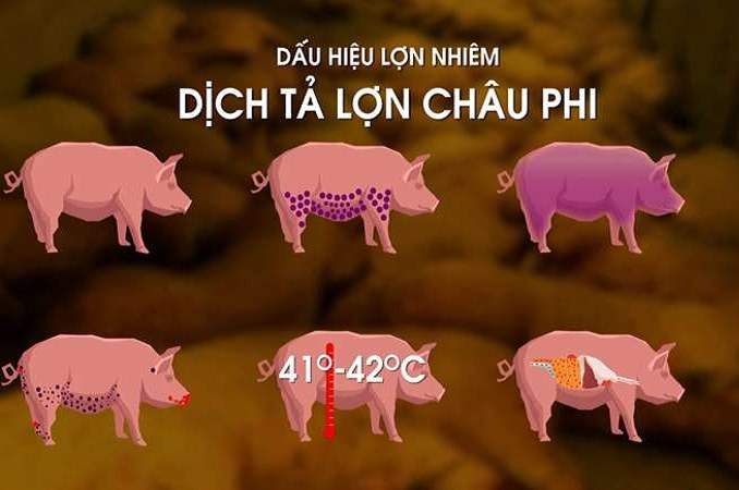 dich-ta-lonjpg1