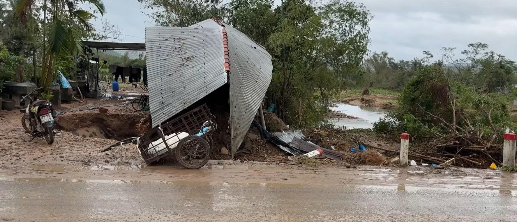 nguoi-dan-dong-xuan-cujpg-2