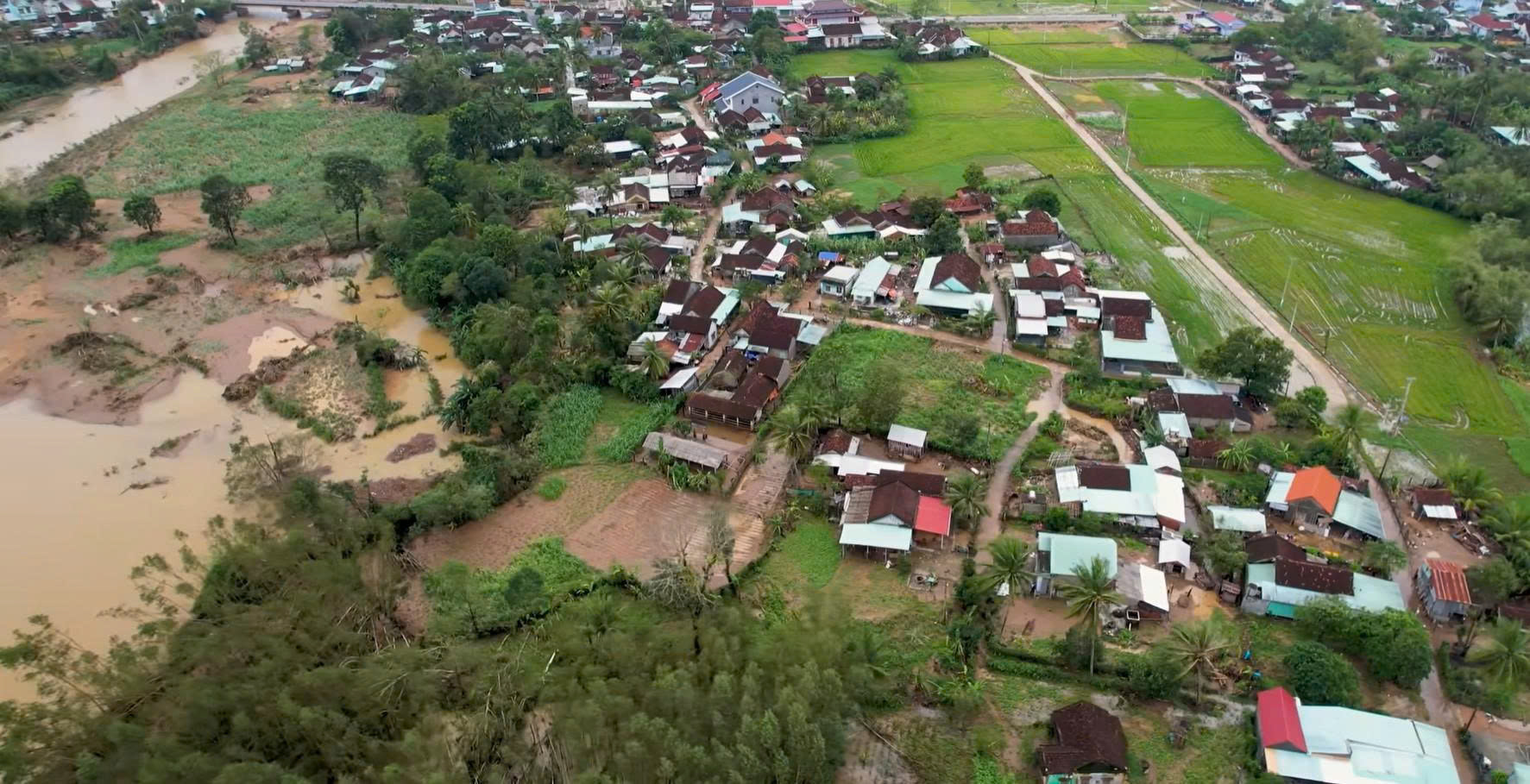 nguoi-dan-dong-xuan-cujpg1