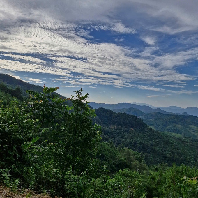 UBND XÃ CHỈ ĐẠO TĂNG CƯỜNG CÔNG TÁC QUẢN LÝ BẢO VỆ RỪNG, PHÒNG CHÁY CHỮA CHÁY RỪNG