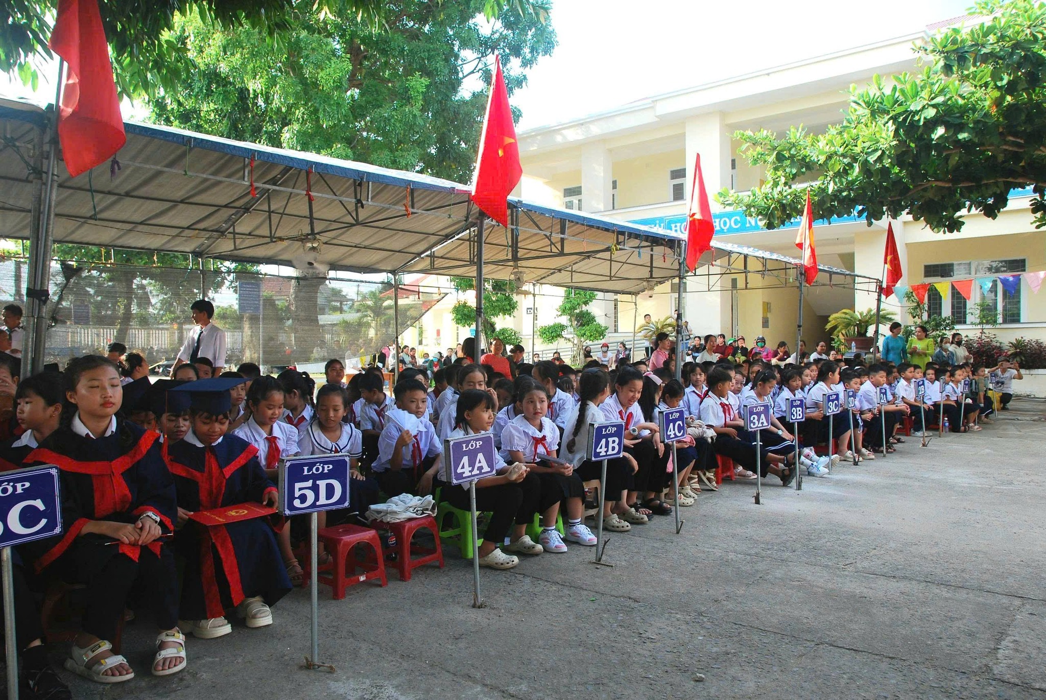 tk-tieu-hoc-27