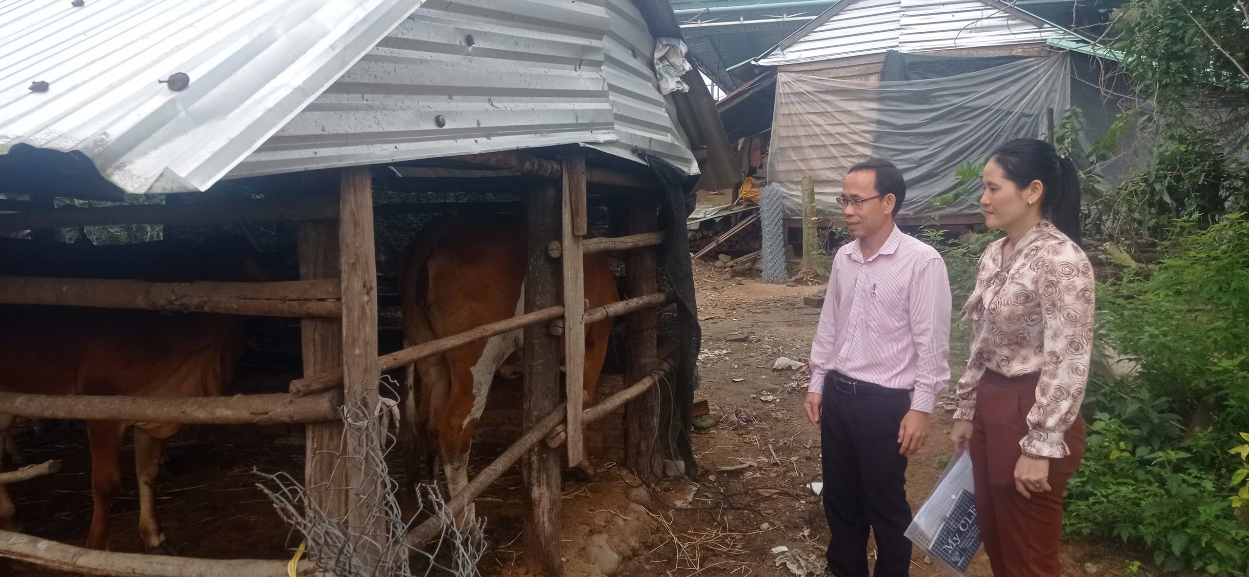 Phòng giao dịch Ngân hàng chính sách xã hội Đồng Xuân giải ngân hơn 3 tỉ đồng vốn tín dụng chính sách